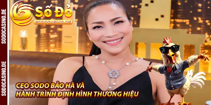 Ceo Sodo - Bảo Hà: Người Lãnh Đạo Số 1 Của Nhà Cái - JAVIN.BET