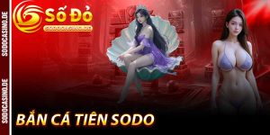 BLOG GAME - sodo - JAVIN.BET