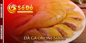 Uncategorized - sodo - JAVIN.BET