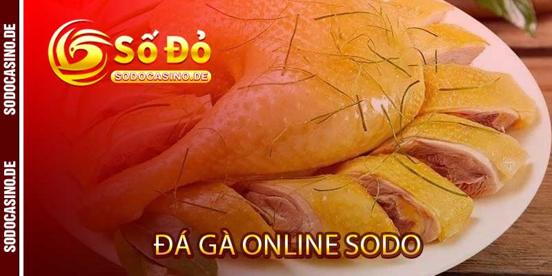 Đá Gà Online Sodo - Bí Kíp Ôm Bạc Tỷ Từ Đấu Trường 2026 Này - JAVIN.BET